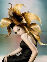 Avant Garde Hairstyle by Alisha Sutch