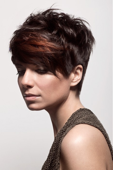 Diva short brown Hairstyles