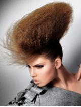  Brown Avant Garde Hairstyle by Royston Blythe