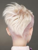 Shaved-Sides Hairstyle by William De Ridder