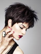 Black Straight Hairstyle by Craig Chapman