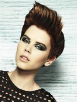 Short Brown Spikey Hairstyle by Michael John