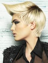 Short  Quiff Hairstyle by Michael John