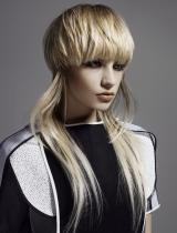 Long Sculptured Hairstyle by Neil Barton