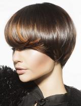   American-Salon Hairstyle by Farouk