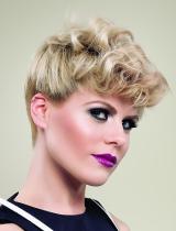 Short Updo Hairstyle by Farouk