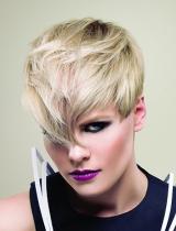 Short Updo Hairstyle by Farouk