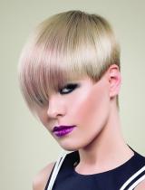 Short Updo Hairstyle by Farouk