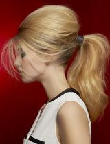   French-Salon Hairstyle by VOG