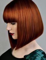 Over 500 amazing Red Hairstyles Hairstyle by Ashley Gamble