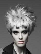   Sculptured Hairstyle by Vivienne Mackinder