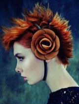   Republic-Salon Hairstyle by Petra Mechurova