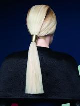   Ponytail Hairstyle by Dessange Paris