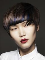  Brown Bob Hairstyle by Francesco Group