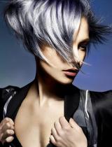 Short Grey Hairstyle by Royston Blythe