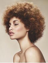 Medium Brown Afro Hairstyle by Schwarzkopf