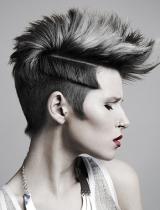 Short  Quiff Hairstyle by Sank