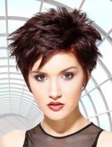 Spikey Hairstyle by L Salon