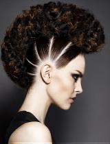 Brown Curly Hairstyle by Francesco Group