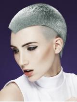 Short Grey Hairstyle by Francesco Group