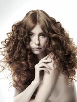 Brown Ringlets Hairstyle by Lanza