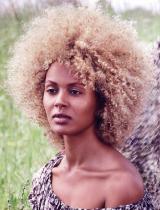 Afro Hairstyle by Aveda