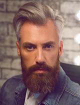 Mens Medium Grey Hairstyle by Paul Gehring