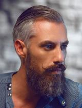 Mens Medium Grey Hairstyle by Paul Gehring