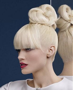 Long  Updo Hairstyle by Dessange