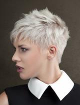 Short Coloured Hairstyle by Sank