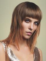 Long Brown Fringe Hairstyle by Robert Kirby