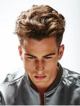 Mens  Brown Hairstyle by Michel Dervyn