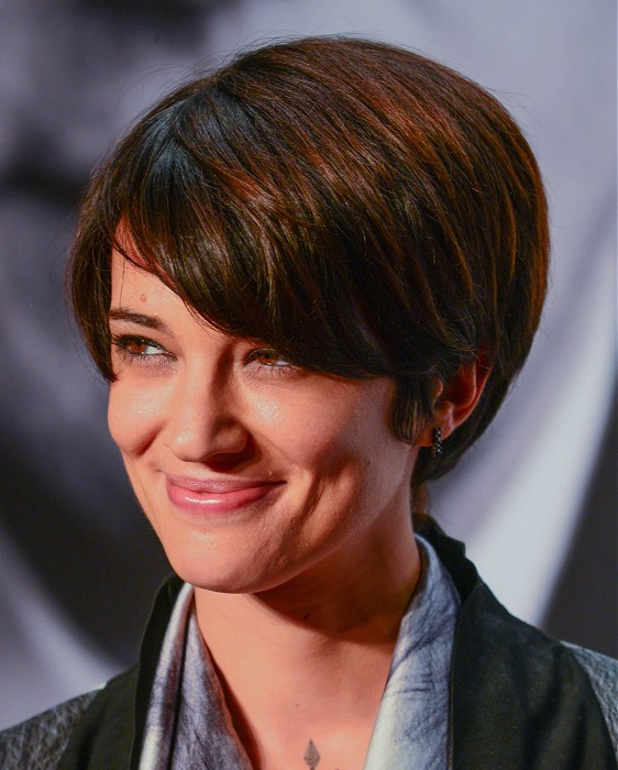 Dessange Short Brown Hairstyles