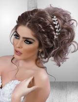 Long  Sculptured Hairstyle by Farouk