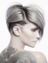   Multi-Tonal Hairstyle by Lanza