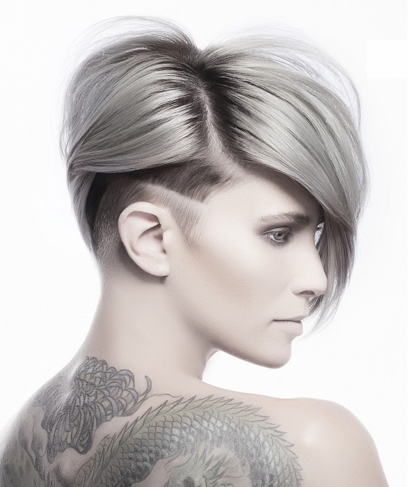 Lanza Short Silver Hairstyles