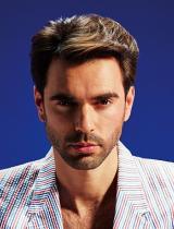 Mens Brown Hairstyle by Michel Dervyn