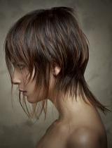 Medium Brown Hairstyle by Trevor Sorbie