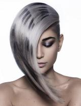 Long Grey Hairstyle by Lanza