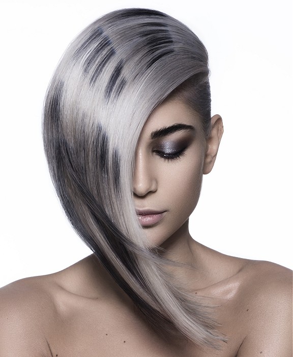 Lanza Long Grey Hairstyles