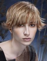 Short Flicked Hairstyle by Framesi