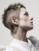 Short Spikey Hairstyle by Schwarzkopf