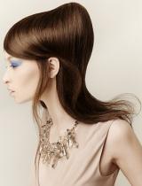 Brown Sculptured Hairstyle by Ethos