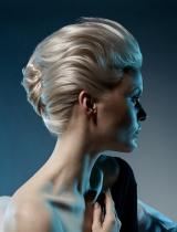 Long Updo Hairstyle by Steinmetz-Bundy