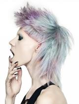 Punk Hairstyle by Crazy Color