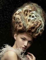 Long Brown Avant Garde Hairstyle by Joanne ONeill