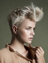 Quiff Hairstyle by Laurent Decreton