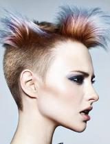 Punk Hairstyle by Royston Blythe