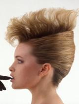 Long Glamourous Hairstyle by Pierre Alexandre