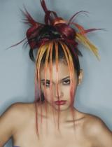 Long  Spikey Hairstyle by Farouk